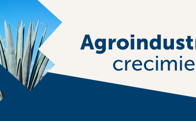 Agroindustria tequilera: crecimiento histórico.