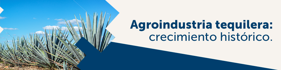 Agroindustria tequilera: crecimiento histórico.